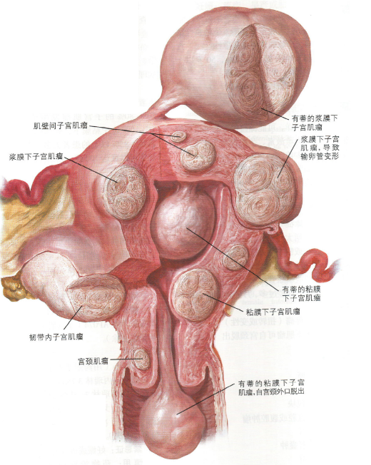 娱乐生活 第65页