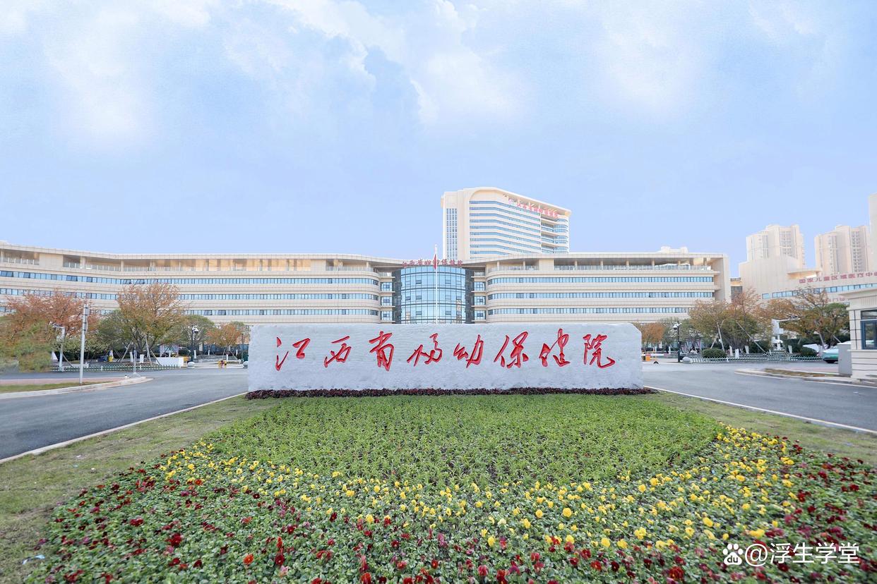 江西三级甲等医院江西三级甲等医院，医疗服务的典范