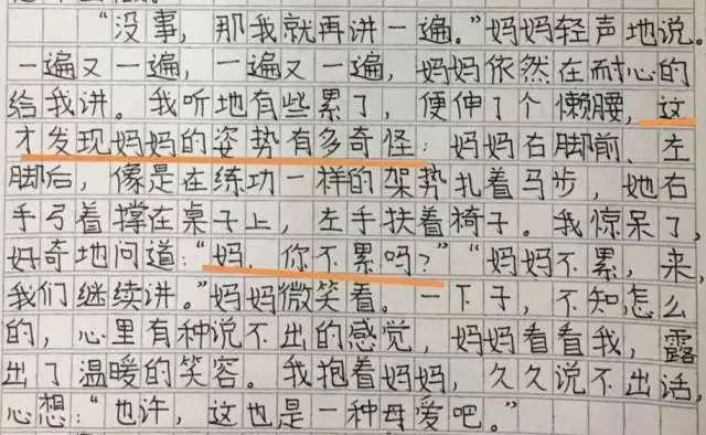 作业被撕了作文作业被撕了
